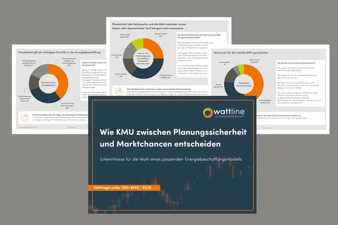 Energieeinkauf-ReportCover